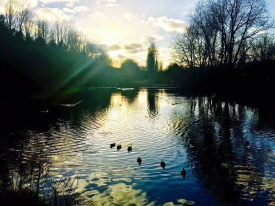 Vicar Water Country Park