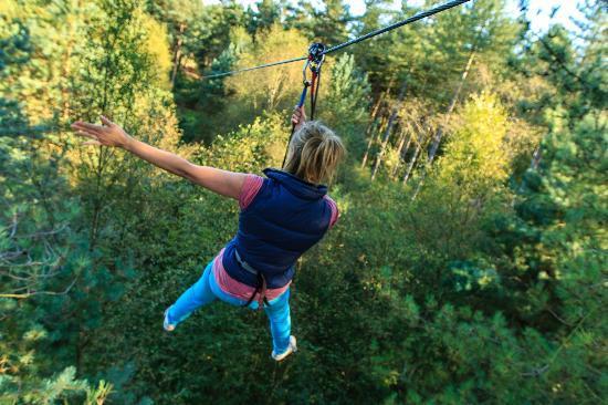 Go Ape Sherwood